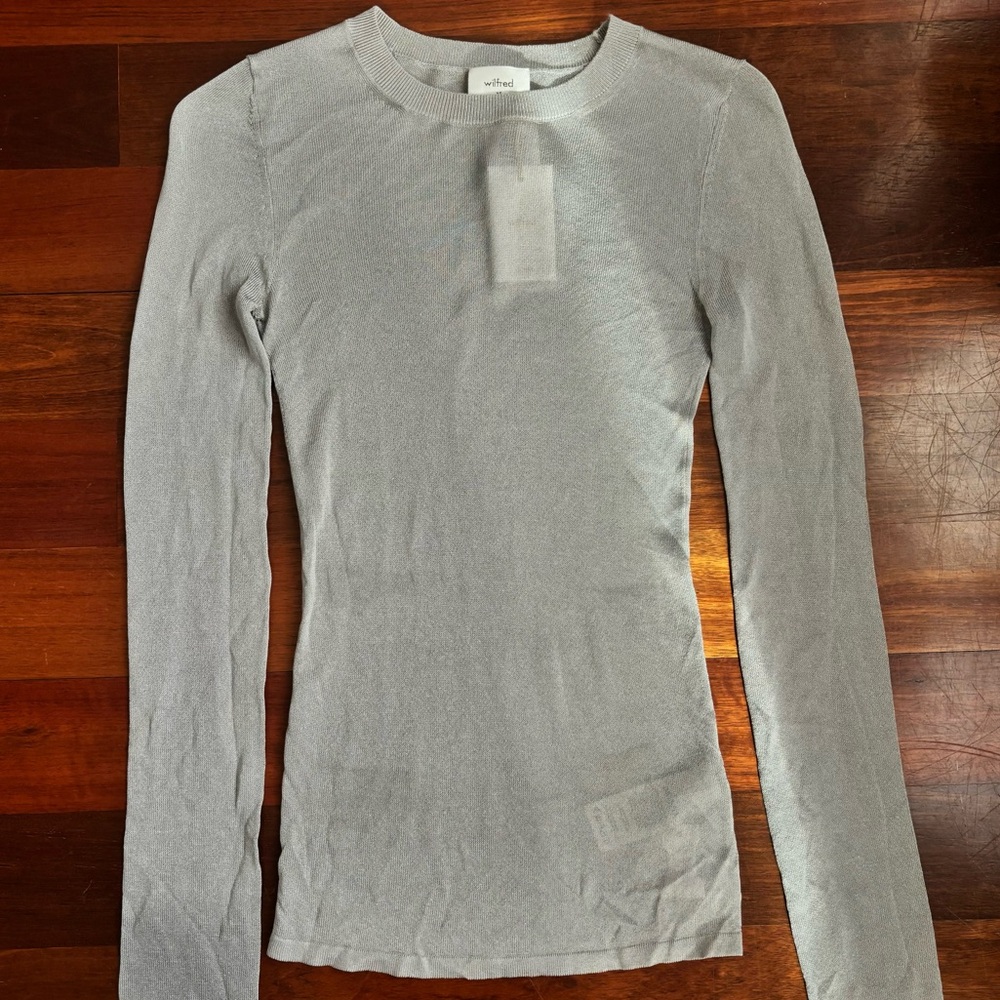 Aritzia Silver Sheer Long Sleeve Top